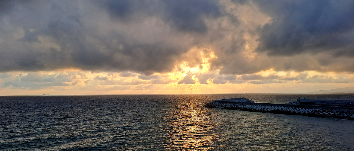 Проверка даты на полноту ввода в FMX Delphi